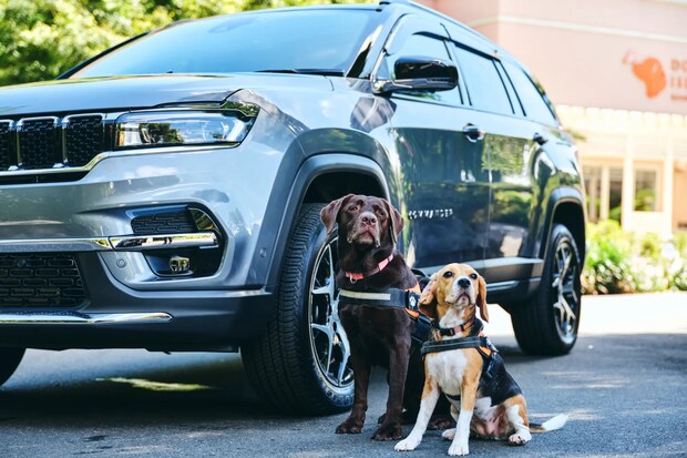 DSF9267 Jeepコマンダーで行く！愛犬と過ごすラグジュアリーリゾート『小谷流の里 ドギーズアイランド』