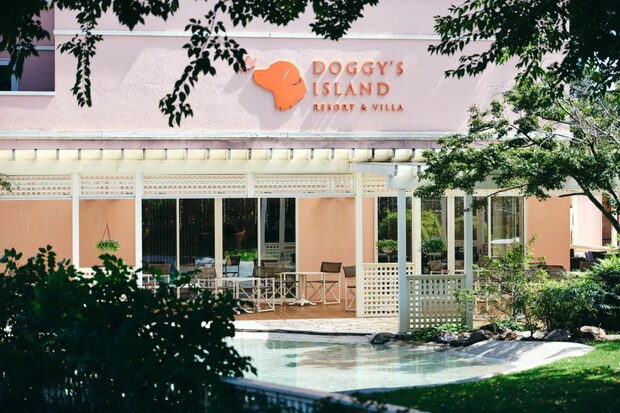 DSF9306 Jeepコマンダーで行く！愛犬と過ごすラグジュアリーリゾート『小谷流の里 ドギーズアイランド』