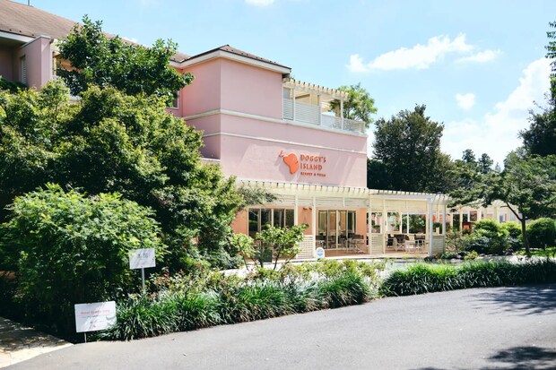 DSF9302 Jeepコマンダーで行く！愛犬と過ごすラグジュアリーリゾート『小谷流の里 ドギーズアイランド』