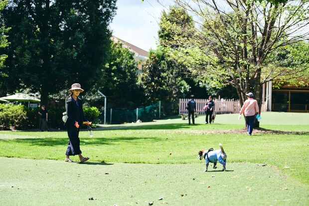 DSF9430 Jeepコマンダーで行く！愛犬と過ごすラグジュアリーリゾート『小谷流の里 ドギーズアイランド』