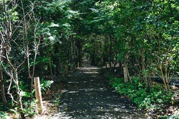 DSF9495 Jeepコマンダーで行く！愛犬と過ごすラグジュアリーリゾート『小谷流の里 ドギーズアイランド』