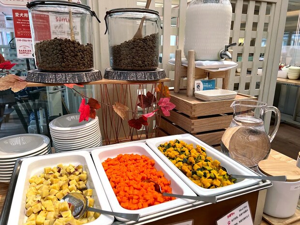 レイク_ワンちゃんビュッフェ Jeepコマンダーで行く！愛犬と過ごすラグジュアリーリゾート『小谷流の里 ドギーズアイランド』