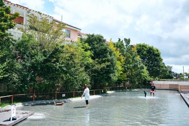 DSF9513 Jeepコマンダーで行く！愛犬と過ごすラグジュアリーリゾート『小谷流の里 ドギーズアイランド』