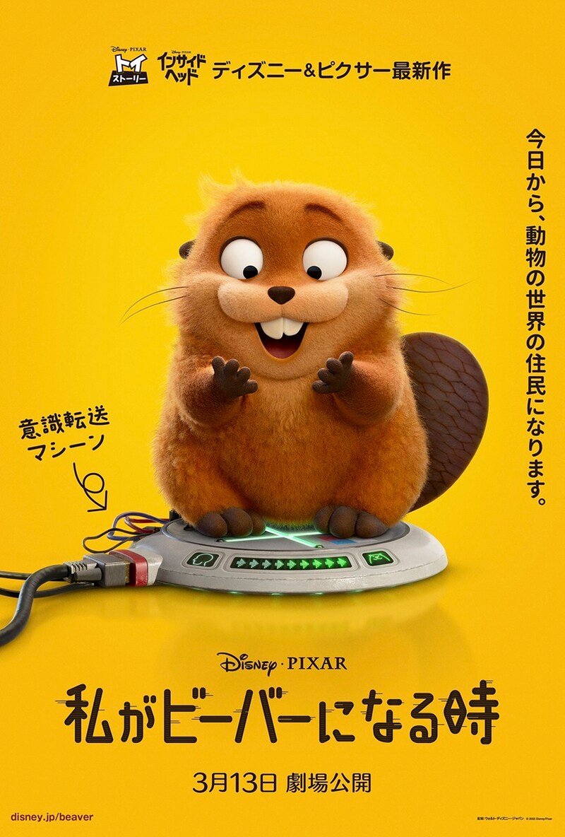 “もしも動物たちの世界の住民になれたら?”　ディズニー＆ピクサー最新作 映画『私がビーバーになる時』日本公開日が決定