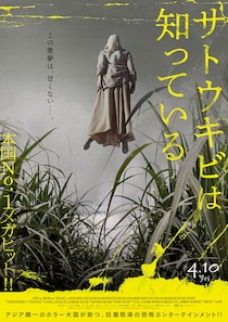 ホラー大国・インドネシアでNo.1ヒット　映画『サトウキビは知っている』 この悪夢は、甘くない