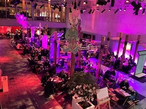 意外と知られていない、ヨーロッパ最大規模のロッテルダム国際映画祭　懐の深さでは、群を抜いて世界一