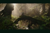 グローグーの成長を見届けたい　映画『スター・ウォーズ／マンダロリアン・アンド・グローグー』 (vol.88)