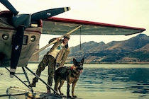ブラピ主演　退役軍人と愛犬の“絆”を描く感動ドラマ　映画『ハート・オブ・ビースト』 全世界同時公開決定
