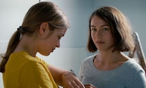 スイス出身の映画作家・チュルヒャー兄弟の作品を特集上映　「ミニアチュールの詩学　チュルヒャー兄弟『動物三部作』」