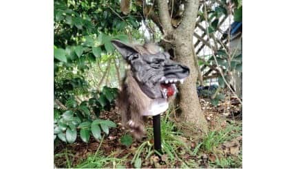 災害級の熊対策に！「大音量×光×狼」の威圧感で驚かせる「猛獣ブロックW-1」