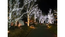 栃木・日光のグランピングリゾートで約4万球のLEDによる「イルミネーションナイト2025」
