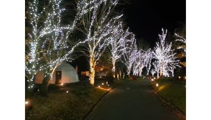 栃木・日光のグランピングリゾートで約4万球のLEDによる「イルミネーションナイト2025」