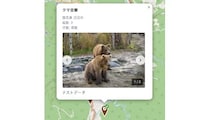 クマ被害防止に！ 全国対応の目撃情報共有マップ「くまっぷ」公開
