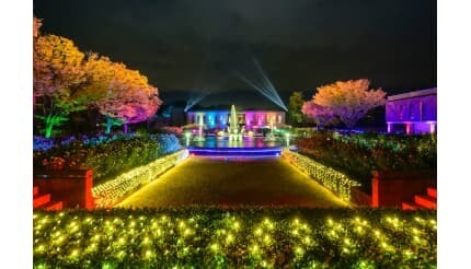 西洋と和の庭園が輝く夜、ウインターイルミネーション「光のミュージアム」