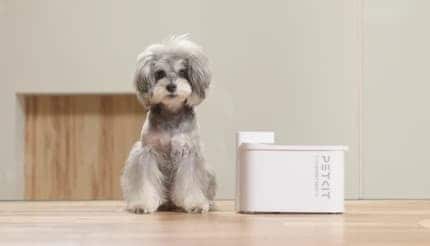 最大83日コードレス稼働とBPAフリーで清潔キープ！ 停電でも止まらないPETKITの自動給水機