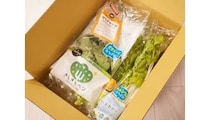 「苦くないケール」に驚き！ テクノロジーの力でおいしく進化した次世代工場野菜「きらきらベジ」はライフスタイルを変える新たな価値