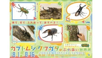 「カブトムシ・クワガタのふれあい世界展」開催! AR昆虫採集ゲーム「バグハン!」コラボブースも登場