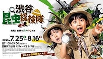 東京・渋谷で日中から「夜の昆虫観察」ができる体験型昆虫展