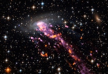 まるでクラゲ？　アルマ望遠鏡やVLTがとらえた銀河の「尾」