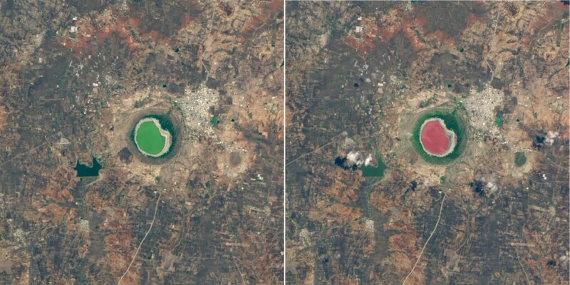 急速にピンクに変色したインドの湖