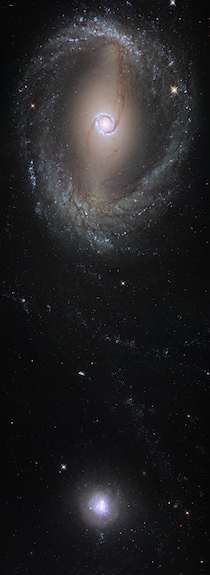 相互作用する棒渦巻銀河と矮小銀河　ハッブル宇宙望遠鏡が撮影