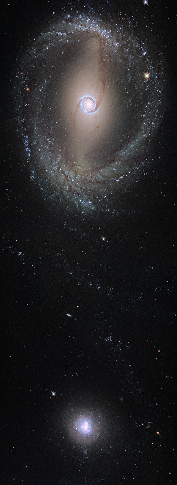 相互作用する棒渦巻銀河と矮小銀河　ハッブル宇宙望遠鏡が撮影