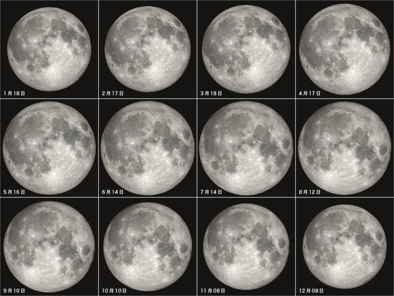 Image Credit: NASA's Scientific Visualization Studio