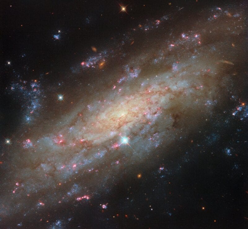 ポンプ座の渦巻銀河NGC 3137　ハッブル宇宙望遠鏡が撮影