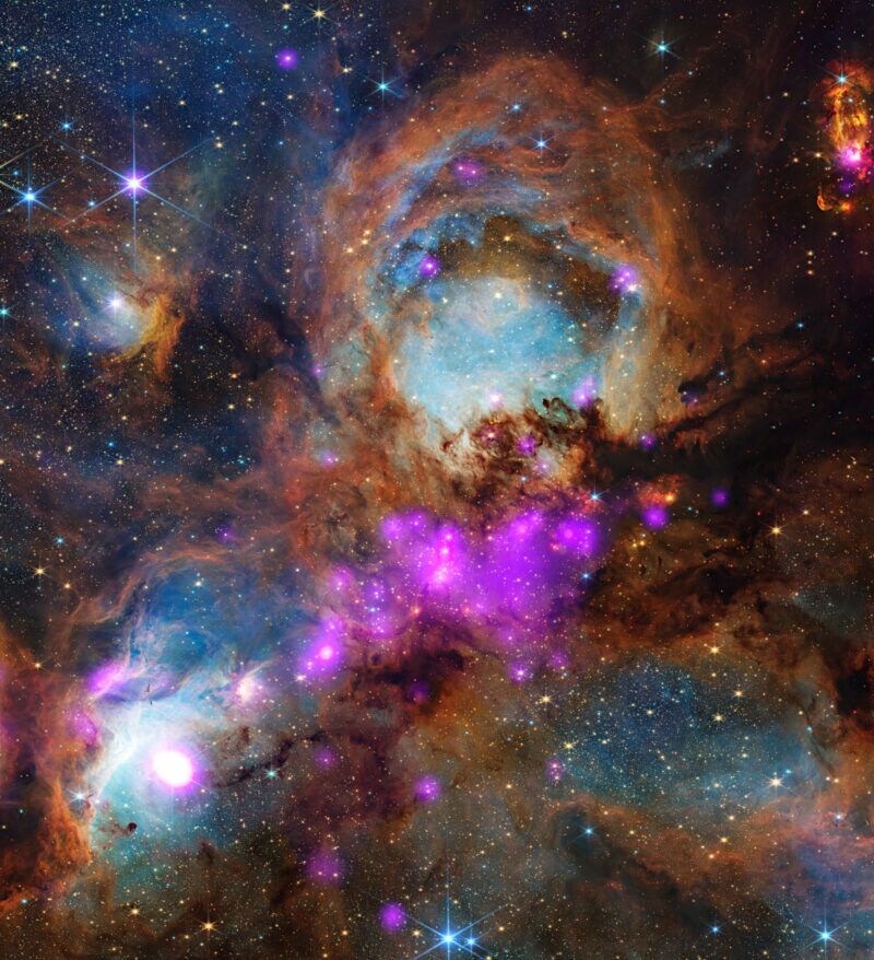 赤外線とX線でとらえた星形成領域「猫の手星雲」