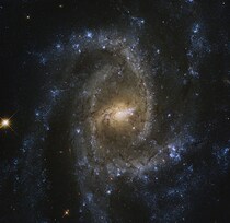 うみへび座の棒渦巻銀河NGC 2835　ハッブル宇宙望遠鏡が撮影