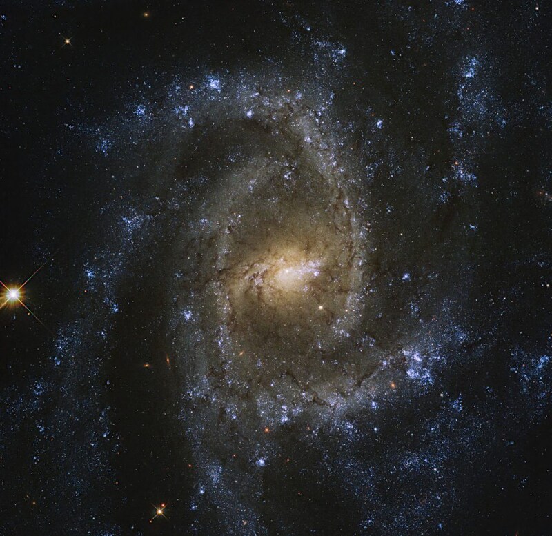 うみへび座の棒渦巻銀河NGC 2835　ハッブル宇宙望遠鏡が撮影