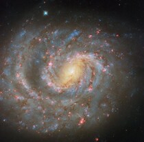 エリダヌス座の渦巻銀河NGC 1637　ハッブル宇宙望遠鏡が撮影