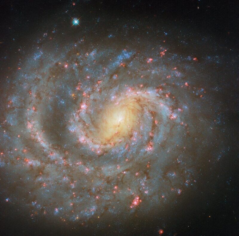 エリダヌス座の渦巻銀河NGC 1637　ハッブル宇宙望遠鏡が撮影