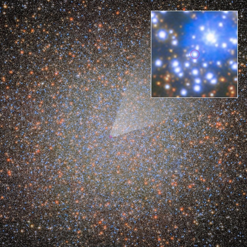 ハッブル宇宙望遠鏡がとらえたオメガ星団。右上の白枠内の中央、赤い円で囲まれているのはブラックホールoMEGACat BH-2の伴星。