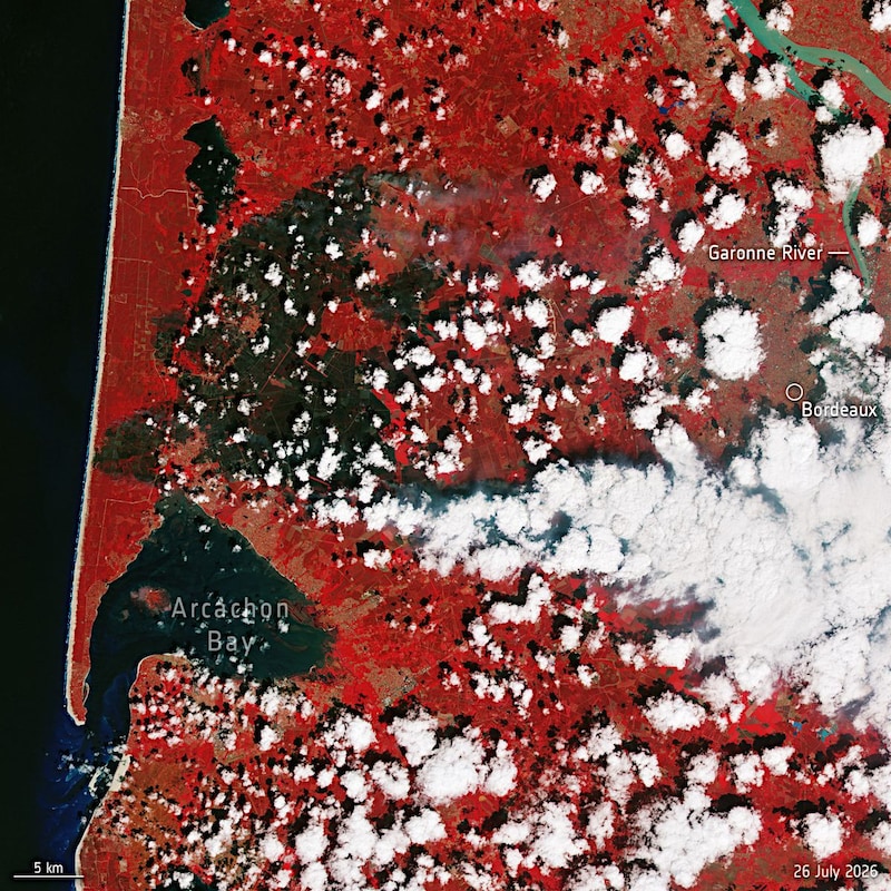 宇宙から見たフランス、スペインの山火事と焼け跡
