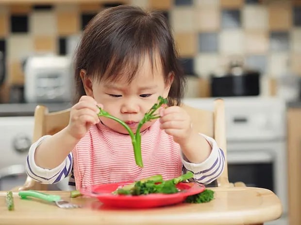 子どもがご飯を食べてくれないのはなぜ？発達段階との関係を精神科医飯島先生にお伺いしました