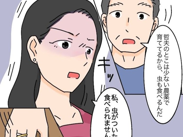 正直すぎるのか見下されているのか。扱いづらい嫁に気を遣えと庇う息子【高飛車嫁と献身嫁３】