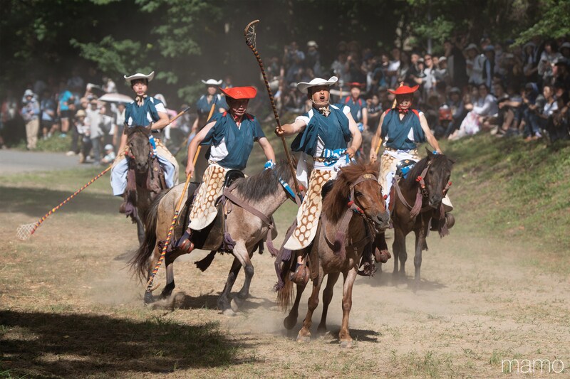 旧八戸藩で200年続く和製ポロ「騎馬打毬」に迫る存続危機 南部家当主がお国入りを繰り返す理由とは