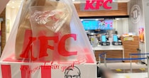 【困惑】ケンタッキーの期間限定「ファン感謝祭パック」を買ったら “サイゼの間違い探し” みたいになっていた / でも520円お得！