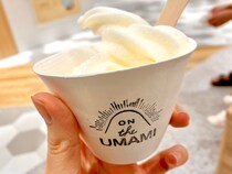 甘いのかしょっぱいのか分からない「だし入りのソフトクリーム」を食べてみた / 新潟駅で食べられるレアソフトクリーム