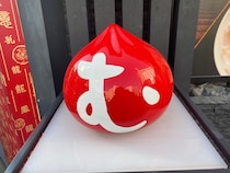 【名古屋発】『世界のやむちゃん』って何？