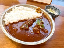 西荻窪『カレーショップ フェンネル』はヒィヒィ言わす激辛ポークビンダルー / 第10回：ポークビンダルー修行