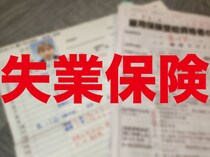 画像をもっと見る