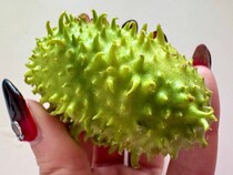 画像をもっと見る