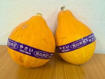 【信じてほしい】生で食べられるカボチャ『コリンキー』が完全に “キュウリの上位互換” だったんだ … ！