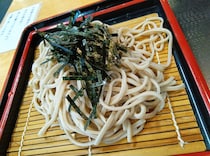 【立ち食いそば放浪記370】最近、ちょっとおかしくなってる話