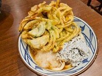 画像をもっと見る