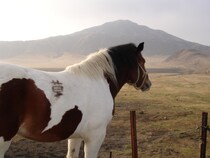 【サーカスの休日】サーカス団員が旅先でまさかの救出劇！ チームプレイで老夫婦を助けた話 / 木下サーカスの思い出：第12回