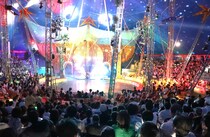 【創業123年】木下サーカスの魅力は「家族を大事にする思い」だった / 木下英樹取締役インタビュー