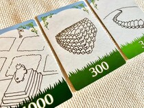 人生で初めて1人用のカードゲームで遊んでみたら…あれっ、私本当に1人でプレイしてた？